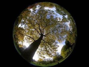 Change_prelude-to-growth_humanityhealing