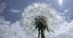 Compassion 2 compassion