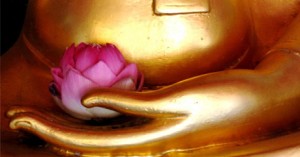 buddaflower