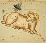 astrological_sign_aries_humanityhealing Children_Aries