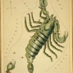 astrological_sign_scorpio_Humanityhealing Children_of_light_Scorpio