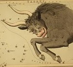 astrological_sign_taurus_humanityhealing Children_Taurus