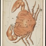 cancer_humanityhealing Children_of_light_Cancer