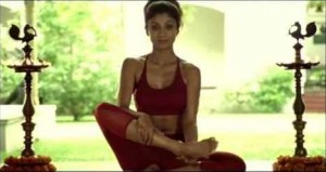 Humming Bee_Humanity-Healing