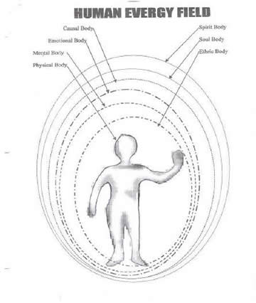 Netter\'s Head and Neck