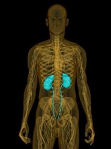 Nocturnal Asthma Natural Remedies Nocturnal Asthma Natural Remedies