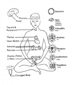 endocrine-and-chakra_Hormonal-web_Humanity-Healing-2