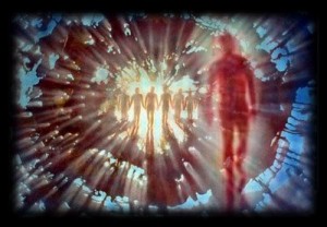 Reincarnation Nadis_Reincarnation