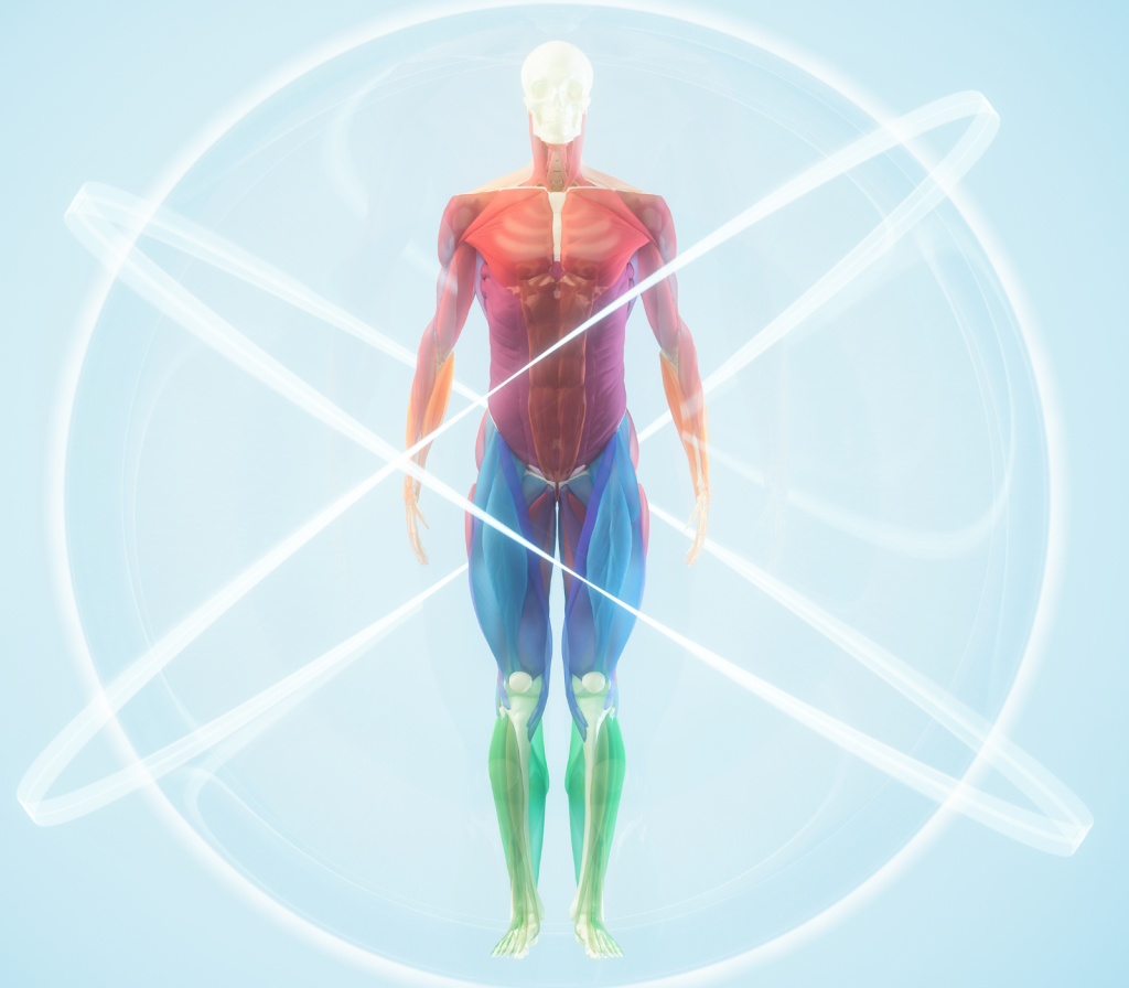 Axiotonal Meridians